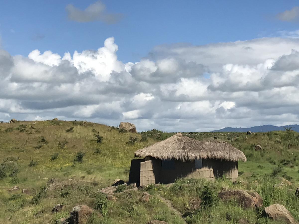 Osiligilai Maasai Lodge Sanya Juu Dış mekan fotoğraf